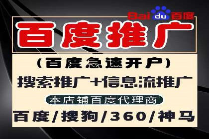 知名SEM竞价代运营公司案例剖析